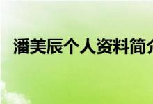 潘美辰個人資料簡介（關(guān)于潘美辰的介紹）