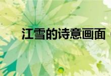 江雪的詩意畫面(江雪的詩意是什么)