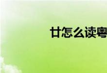 廿怎么讀粵語（廿怎么讀）