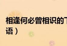 相逢何必曾相識的下句（相逢何必曾相識的成語）