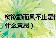 樹欲靜而風(fēng)不止是什么梗（樹欲靜而風(fēng)不止是什么意思）