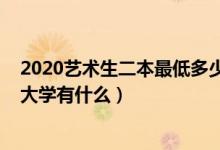 2020藝術(shù)生二本最低多少分（2022美術(shù)藝術(shù)生最低的二本大學(xué)有什么）