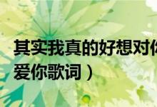 其實(shí)我真的好想對你說是什么歌（死心塌地去愛你歌詞）