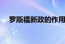 羅斯福新政的作用（羅斯福新政的特點）