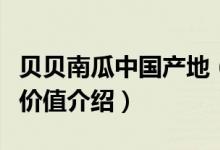 貝貝南瓜中國產(chǎn)地（貝貝南瓜中國產(chǎn)地及營養(yǎng)價值介紹）