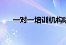 一對(duì)一培訓(xùn)機(jī)構(gòu)哪個(gè)好（有哪些選擇）