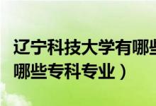 遼寧科技大學(xué)有哪些專業(yè)好（遼寧科技大學(xué)有哪些?？茖I(yè)）