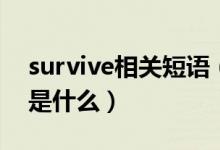 survive相關(guān)短語(yǔ)（survive用法及短語(yǔ)搭配是什么）
