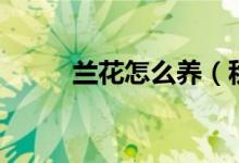 蘭花怎么養(yǎng)（秋季要注意這七點(diǎn)）