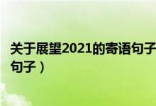 關(guān)于展望2021的寄語句子大全（新一年用心生活努力拼搏的句子）