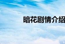 暗花劇情介紹（暗花劇情簡介）