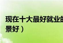 現(xiàn)在十大最好就業(yè)的專業(yè)是什么（哪些專業(yè)前景好）