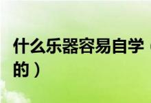 什么樂器容易自學(xué)（哪些樂器的比較容易自學(xué)的）