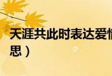 天涯共此時表達愛情嘛（天涯共此時表達的意思）