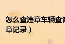 怎么查違章車輛查詢（怎么查詢自己的車子違章記錄）