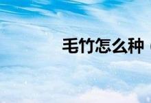 毛竹怎么種（毛竹如何種植）