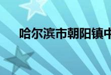 哈爾濱市朝陽鎮(zhèn)中心小學(xué)校的地址在哪