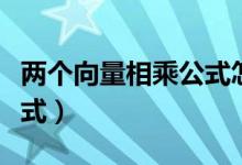 兩個(gè)向量相乘公式怎么區(qū)分（兩個(gè)向量相乘公式）