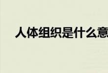 人體組織是什么意思（人體組織的含義）