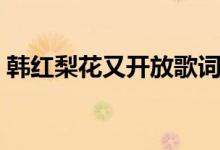 韓紅梨花又開放歌詞（梨花又開放整首歌詞）