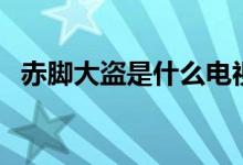 赤腳大盜是什么電視?。ǜ木幾阅牟啃≌f(shuō)）