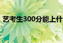 藝考生300分能上什么學(xué)校（能上幾本大學(xué)）