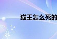 貓王怎么死的（貓王個人介紹）