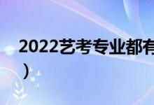 2022藝考專業(yè)都有哪些專業(yè)（什么專業(yè)吃香）