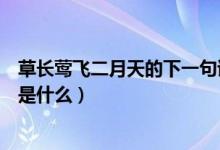 草長(zhǎng)鶯飛二月天的下一句詩(shī)句（草長(zhǎng)鶯飛二月天的下一句詩(shī)是什么）
