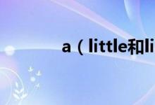 a（little和little的區(qū)別用法）