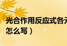 光合作用反應(yīng)式各元素去向（光合作用反應(yīng)式怎么寫）
