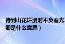 待到山花爛漫時不負春光不負卿是什么意思（不負春光不負卿是什么意思）