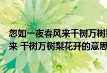 忽如一夜春風來千樹萬樹梨花開表達了什么（忽如一夜春風來 千樹萬樹梨花開的意思）