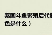 泰國斗魚繁殖后代顏色（泰國斗魚繁殖后代顏色是什么）