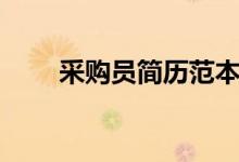 采購(gòu)員簡(jiǎn)歷范本（采購(gòu)員簡(jiǎn)歷范文）