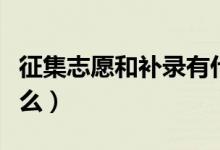 征集志愿和補錄有什么區(qū)別（補錄的流程是什么）
