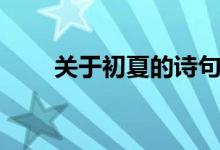 關(guān)于初夏的詩句（初夏的詩句大全）