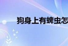 狗身上有蜱蟲怎么辦（什么是蜱蟲）