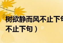 樹欲靜而風(fēng)不止下句的作者是誰(樹欲靜而風(fēng)不止下句)