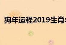 狗年運(yùn)程2019生肖年運(yùn)（分析的太透徹了）