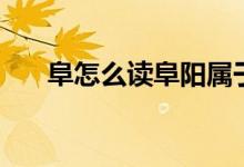 阜怎么讀阜陽屬于哪個?。ǜ吩趺醋x）