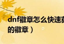 dnf徽章怎么快速獲得（dnf怎么得到屬性好的徽章）