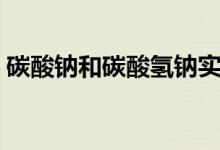 碳酸鈉和碳酸氫鈉實驗（碳酸鈉和碳酸氫鈉）