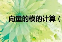 向量的模的計(jì)算（向量的模的計(jì)算公式）