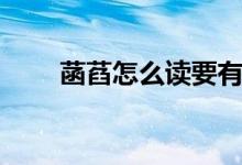 菡萏怎么讀要有拼音（菡萏怎么讀）
