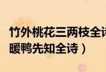 竹外桃花三兩枝全詩（竹外桃花三兩枝春江水暖鴨先知全詩）