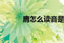 膺怎么讀音是什么（膺怎么讀）