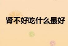 腎不好吃什么最好（腎不好可以吃的食物）