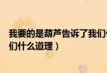 我要的是葫蘆告訴了我們什么道理（我要的是葫蘆告訴了我們什么道理）