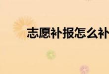 志愿補報怎么補報（補錄注意事項）